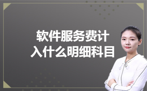  软件服务费计入什么明细科目