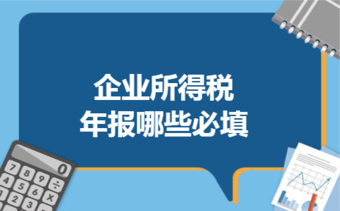  企业所得税年报哪些必填