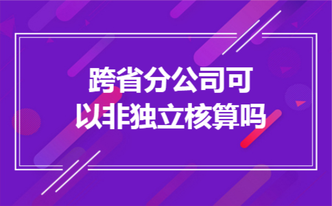 跨省分公司可以非独立核算吗