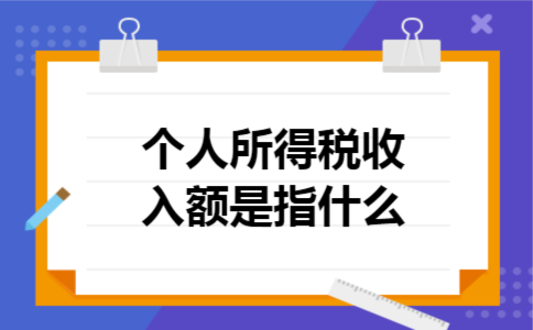  个人所得税收入额是指什么