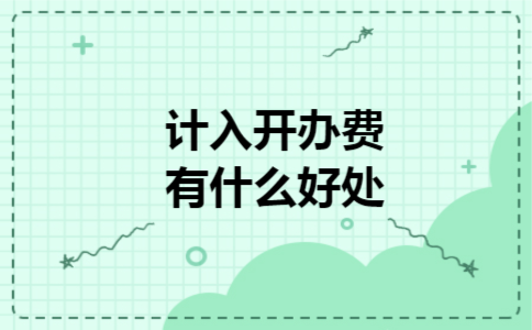 计入开办费有什么好处