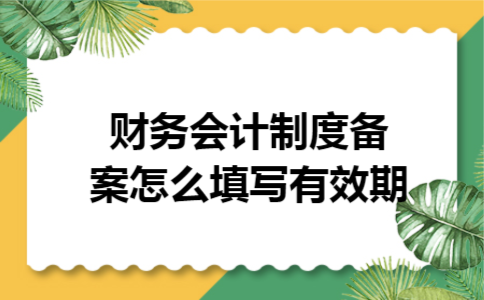 财务会计制度备案怎么填写有效期