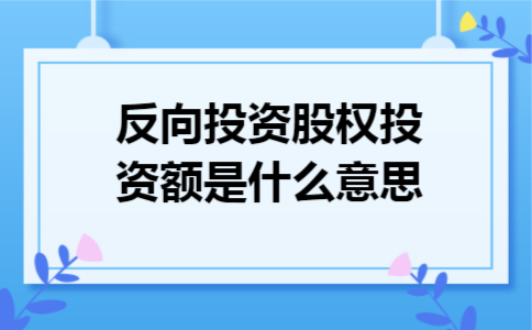 反向投资股权投资额是什么意思