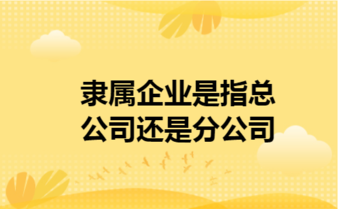 隶属企业是指总公司还是分公司