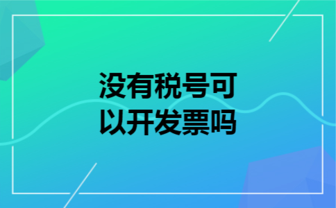 没有税号可以开发票吗
