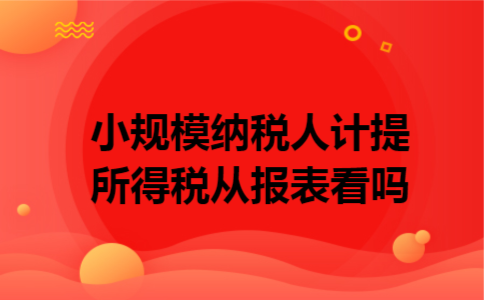 小规模纳税人计提所得税从报表看吗