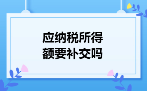 应纳税所得额要补交吗