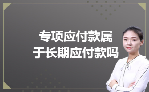 专项应付款属于长期应付款吗