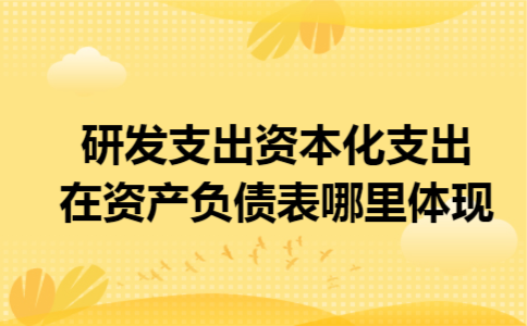 研发支出资本化支出在资产负债表哪里体现