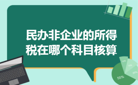 民办非企业的所得税在哪个科目核算