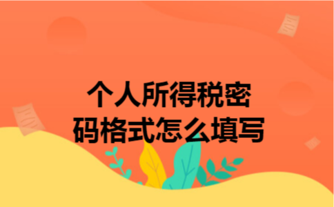 个人所得税密码格式怎么填写 个人所得税密码格式怎么填写