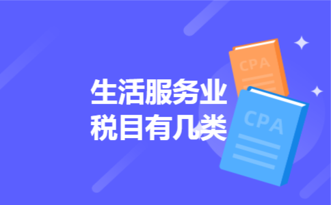  生活服务业税目有几类