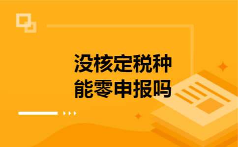  没核定税种能零申报吗