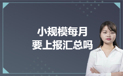 小规模每月要上报汇总吗