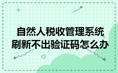 自然人税收管理系统刷新不出验证码怎么办