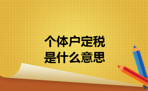 个体户定税是什么意思