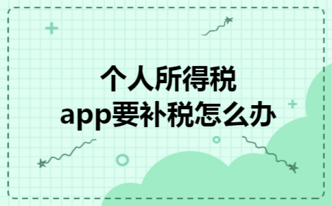 个人所得税app要补税怎么办 个人所得税app要补税怎么办