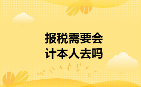 报税需要会计本人去吗