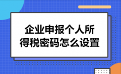 企业申报个人所得税密码怎么设置