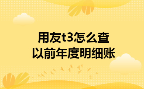 用友t3怎么查以前年度明细账