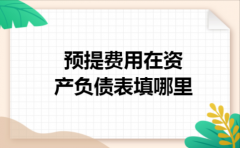 预提费用在资产负债表填哪里
