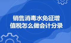  销售消毒水免征增值税怎么做会计分录
