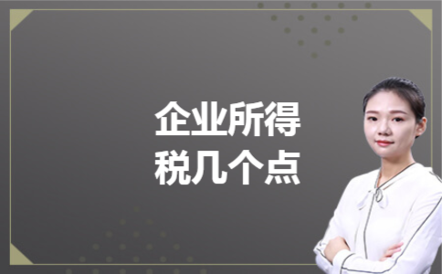 企业所得税几个点 企业所得税几个点