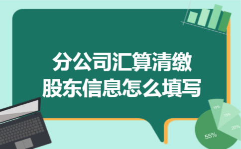 分公司汇算清缴股东信息怎么填写