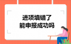 进项填错了能申报成功吗
