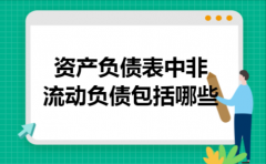 资产负债表中非流动负债包括哪些