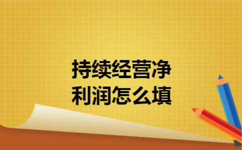 持续经营净利润怎么填 持续经营净利润怎么填