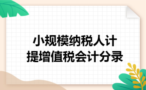 小规模纳税人计提增值税会计分录