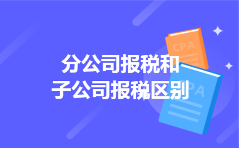 分公司报税和子公司报税区别