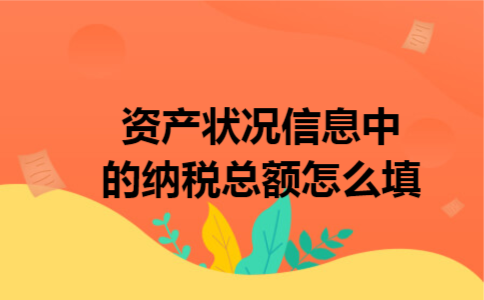 资产状况信息中的纳税总额怎么填