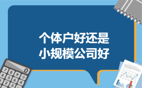 个体户好还是小规模公司好 个体户好还是小规模公司好