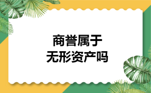 商誉属于无形资产吗 商誉属于无形资产吗