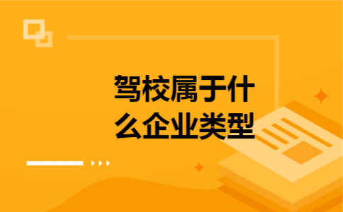 驾校属于什么企业类型