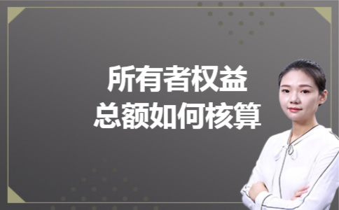 所有者权益总额如何核算