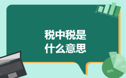 税中税是什么意思