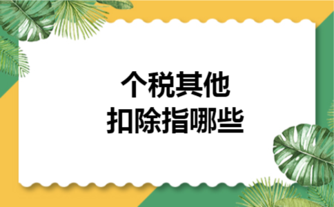  个税其他扣除指哪些