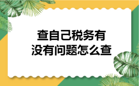 查自己税务有没有问题怎么查