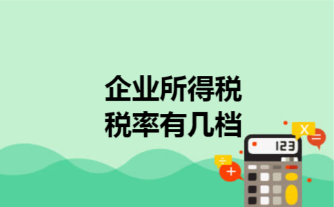  企业所得税税率有几档
