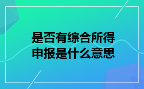 是否有综合所得申报是什么意思