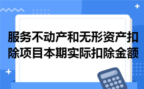  服务、不动产和无形资产 扣除项目本期实际扣除金额