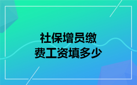 社保增员缴费工资填多少