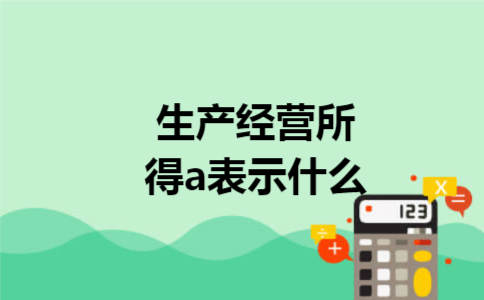 生产经营所得a表示什么 生产经营所得a表示什么