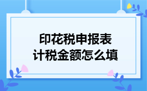 印花税申报表计税金额怎么填