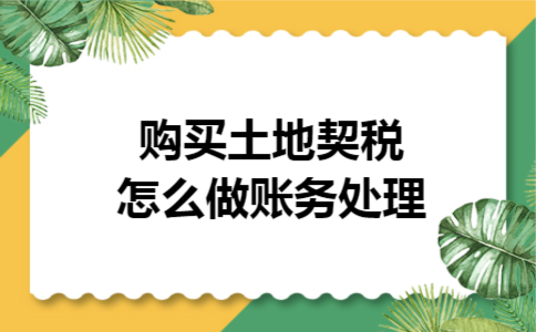 购买土地契税怎么做账务处理