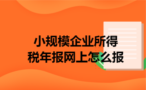 小规模企业所得税年报网上怎么报