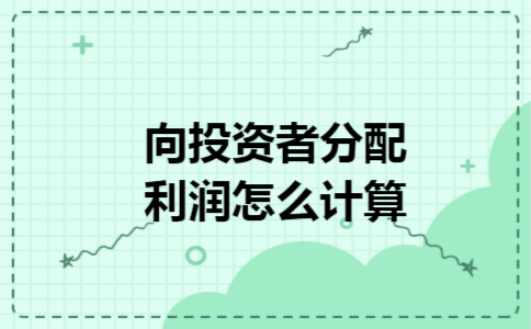 向投资者分配利润怎么计算